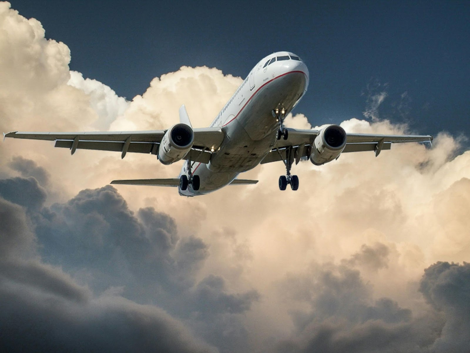 What to Know When Buying a Plane: A Beginner’s Full Guide